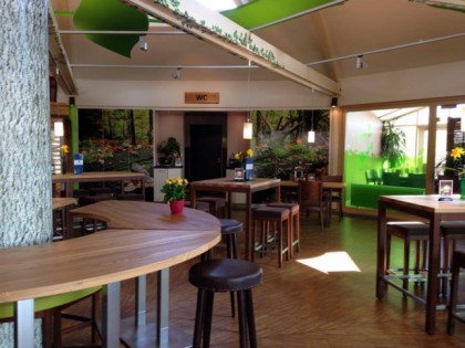 Foto: Waldk&amp;uuml;chenmeister im Erlebniswald